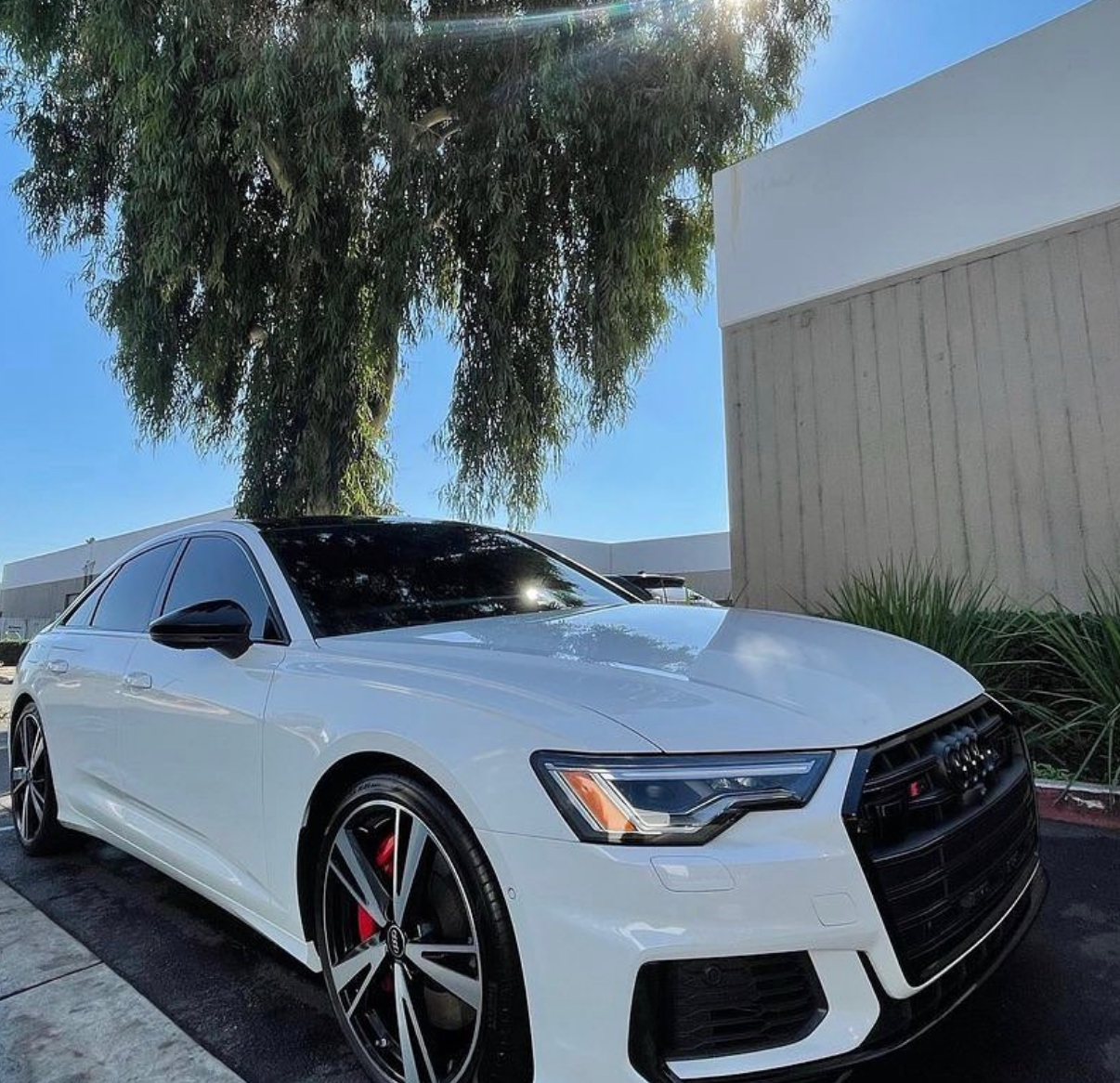 Audi S6 exterior detail Scottsdale AZ
